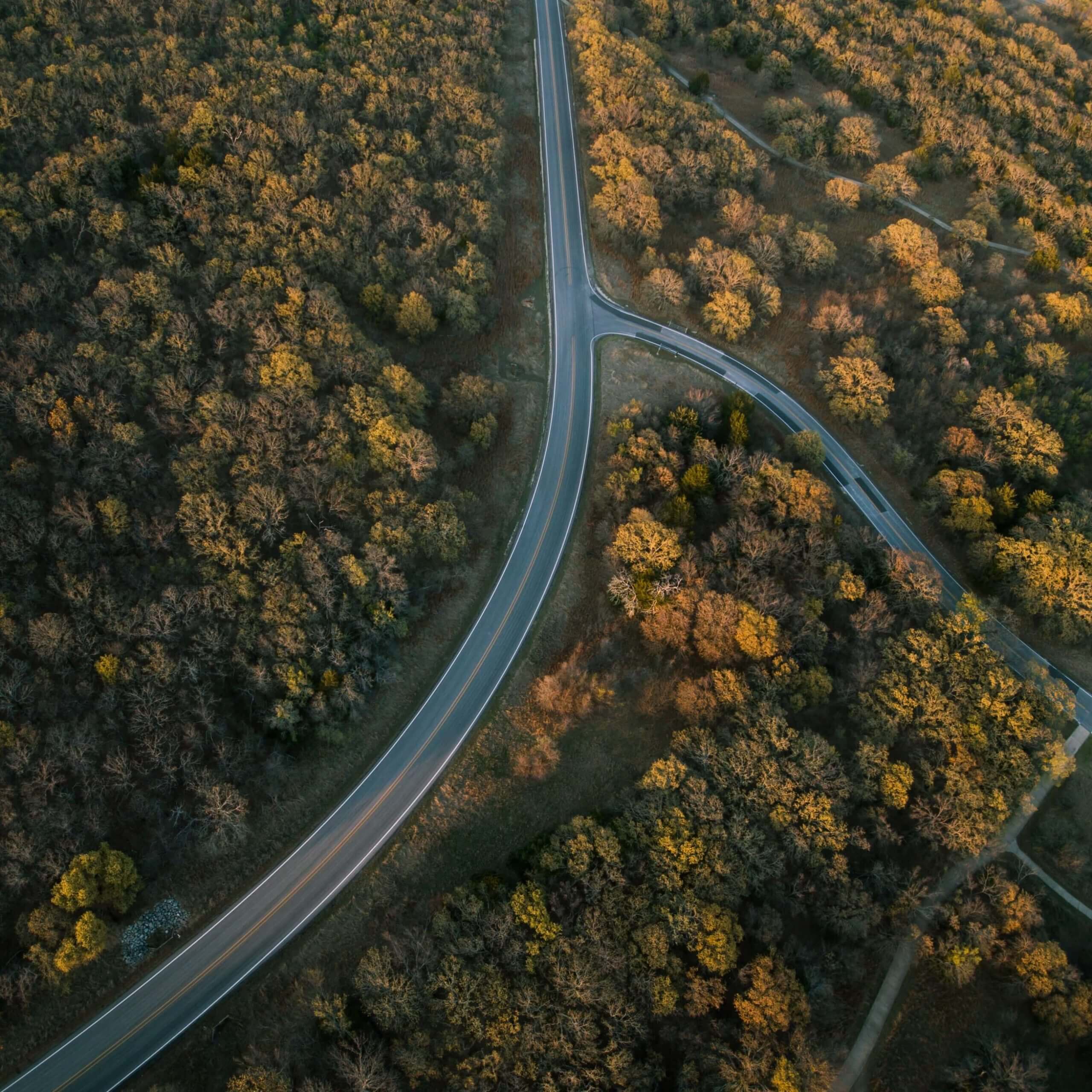 keith-wickramasekara-N96-q4oeNrs-unsplash-scaled