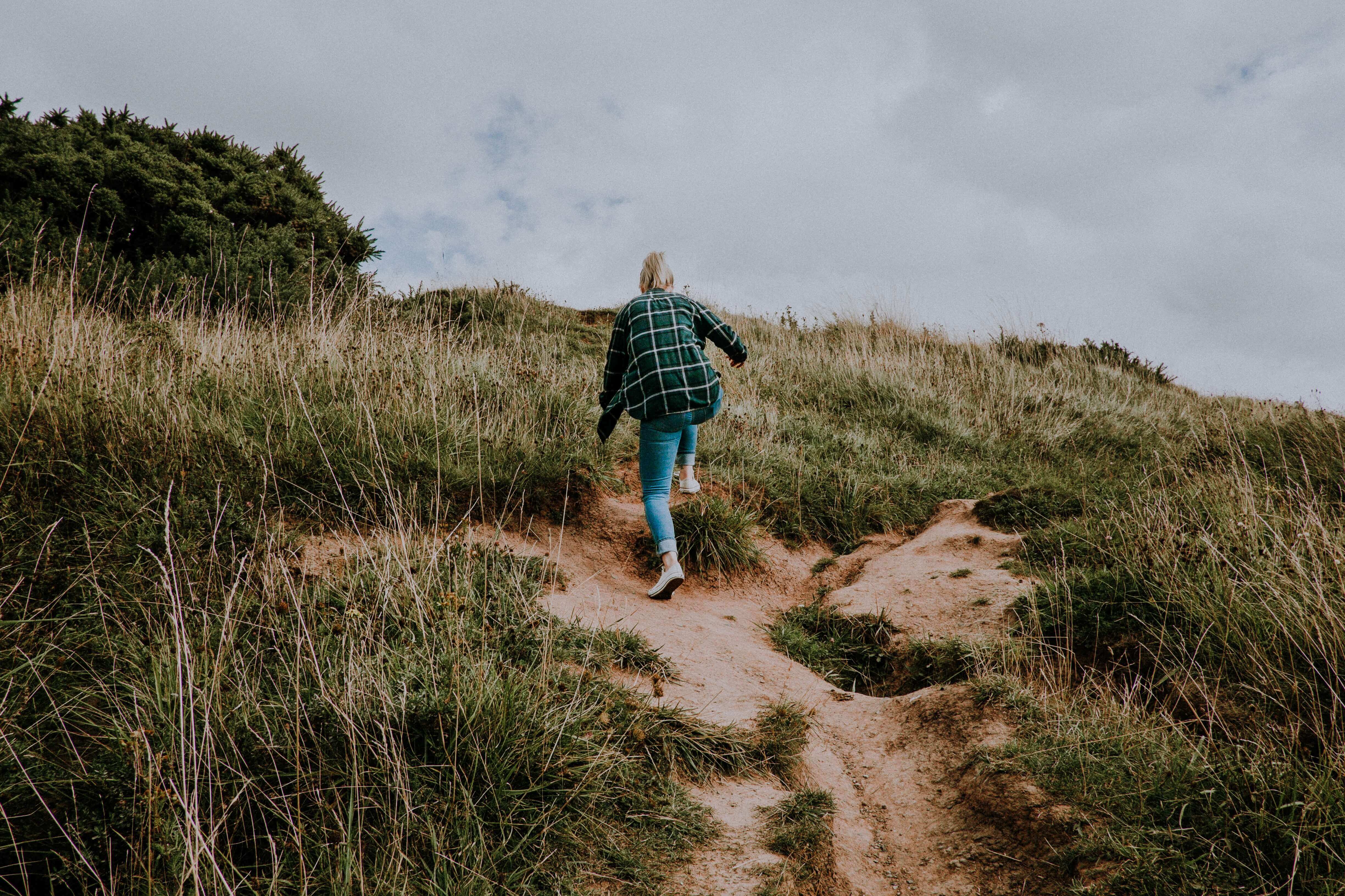 A Rate Cut, Employment Surprise, and Market Rally mitchell orr Cr3Es3yGAmk unsplash 1