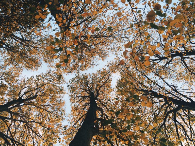 Subscribe To Our Blog oli gibbs FJ9NAgNkrCM unsplash 768x576