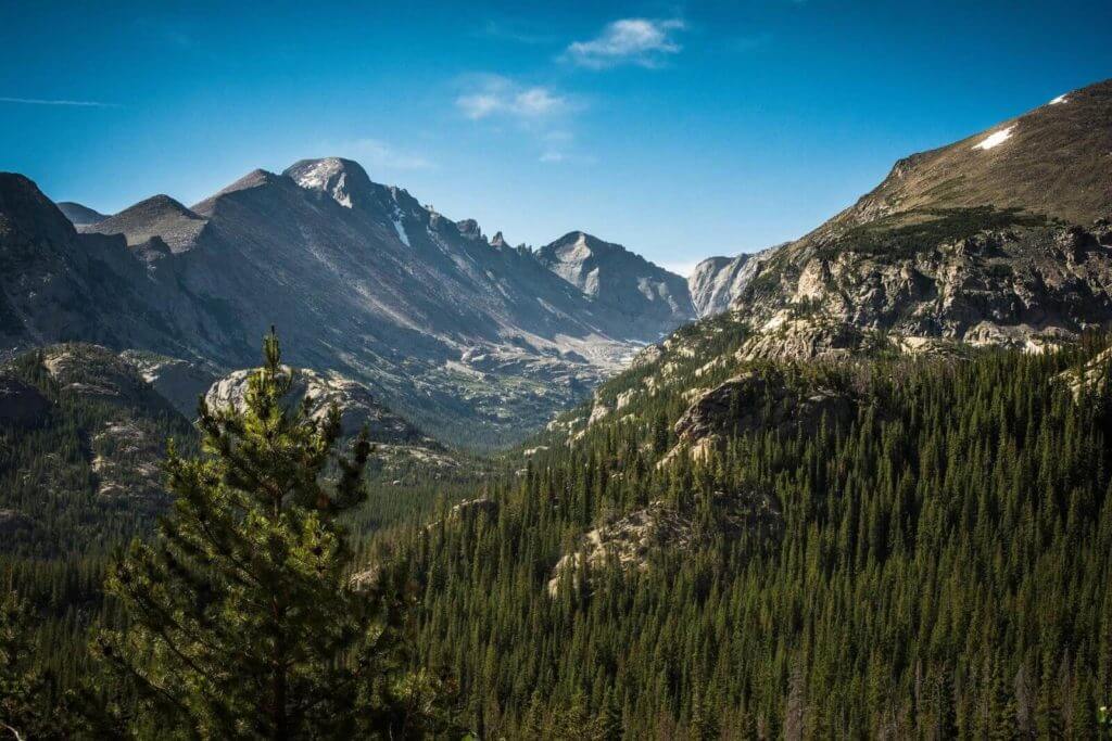 Colorado medical board licensing timeline