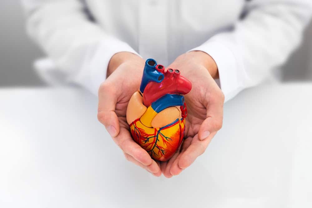 cardiology-salary-subspecialties-to-earn-the-best-income-why