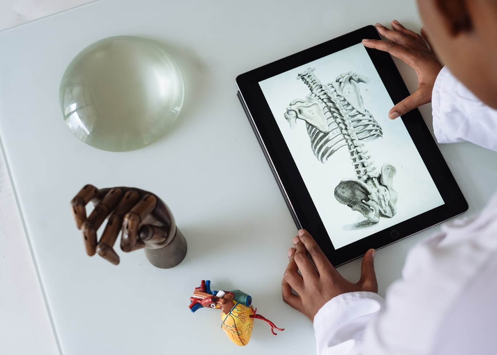 Physician looking at tablet with skeleton diagram