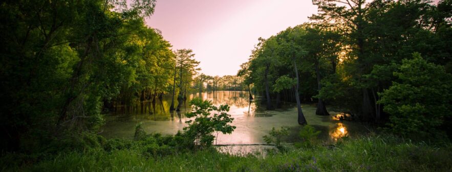 mississippi medical license