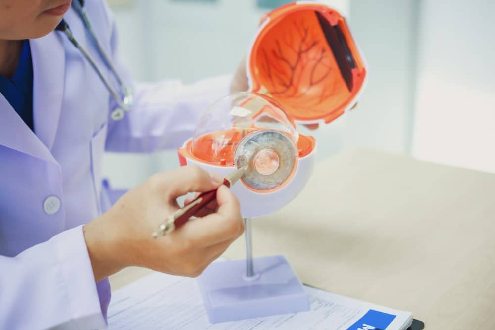 How Much Do Ophthalmologists Make in Private Practice vs Hospitals? cover